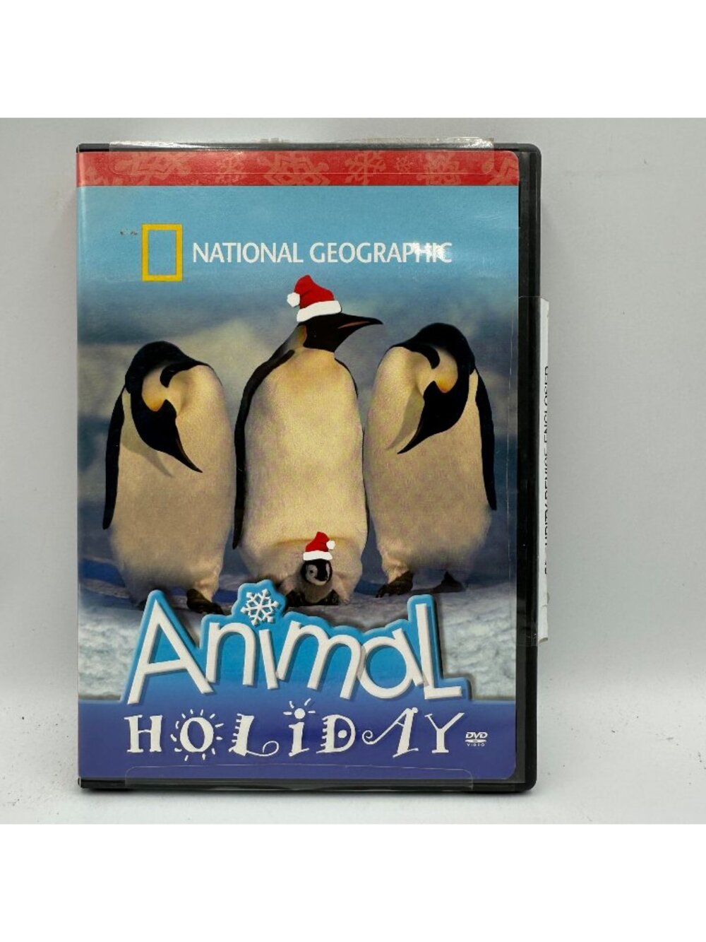 National Geographic Animal Holiday DVD NR Family Wildlife Documentary 2005